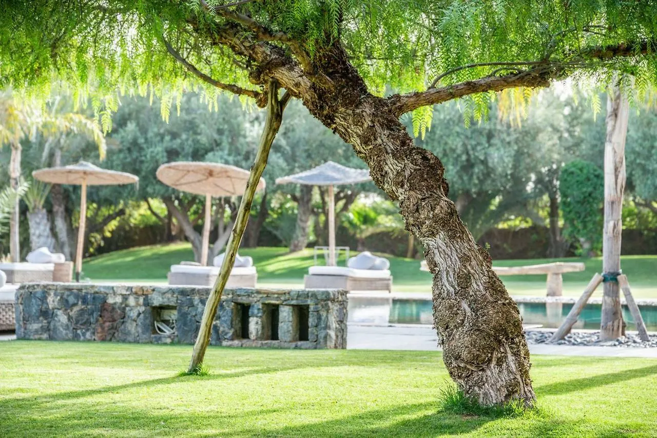 Zagora And Marhba Villas Marrakech - By Emerald Stay Marrakesh